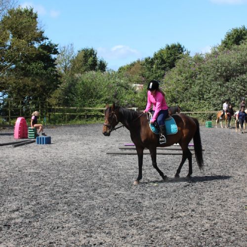 Own A Pony
