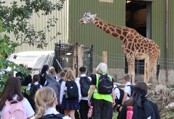 Image for Year 7 Explore Careers at Paignton Zoo